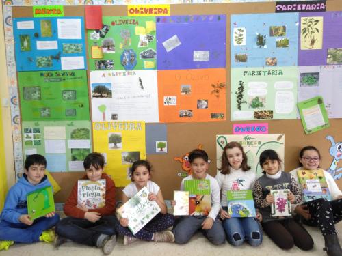 Traballos de 3º sobre as plantas