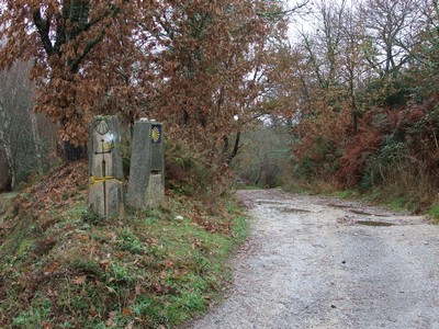 camiño santiago
