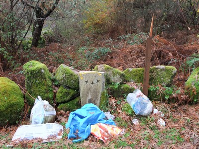 camiño santiago
