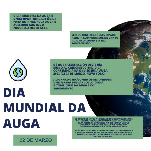 cartel dia mundial auga galego