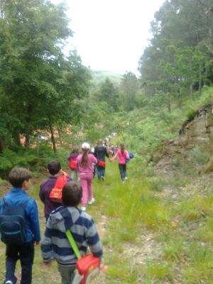 excursión levada de casqueiros
Palabras chave: primaria segundo excursión