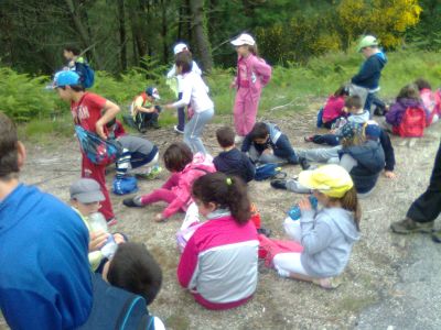 excursión levada de casqueiros
Palabras chave: primaria segundo excursion