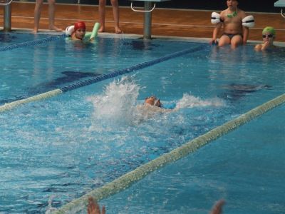 Palabras chave: Piscina 2008-2009