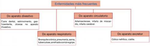 Enfermidades Función de Nutrición