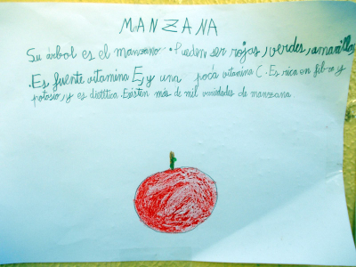 FROITA_2013_PRIMARIA_08_800x600.jpg