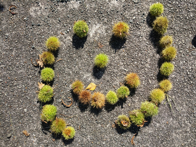 LAND_ART_2017_11_800x600.jpg