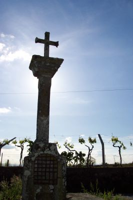 Cruceiro de Ánimas de Piñeiro
UBICACIÓN: nunha encrucillada, nas aforas da localidade de Piñeiro. Parroquia de Piñeiro.
AUTOR: descoñecido. Construído en 1874.
CARACTERÍSTICAS: cruceiro sinxelo de gran gusto popular.
CURIOSIDADES: antigamento, había catro pedras que delimitaban o seu espazo, pensamos que son as que se atopan amoreadas actualmente entre o cruceiro e o pousadoiro. Dende hai anos xa non se celebra a procesión que se levaba a cabo na honra da Virxe do Carme.
Palabras chave: cruceiro, Maside, ánimas de piñeiro