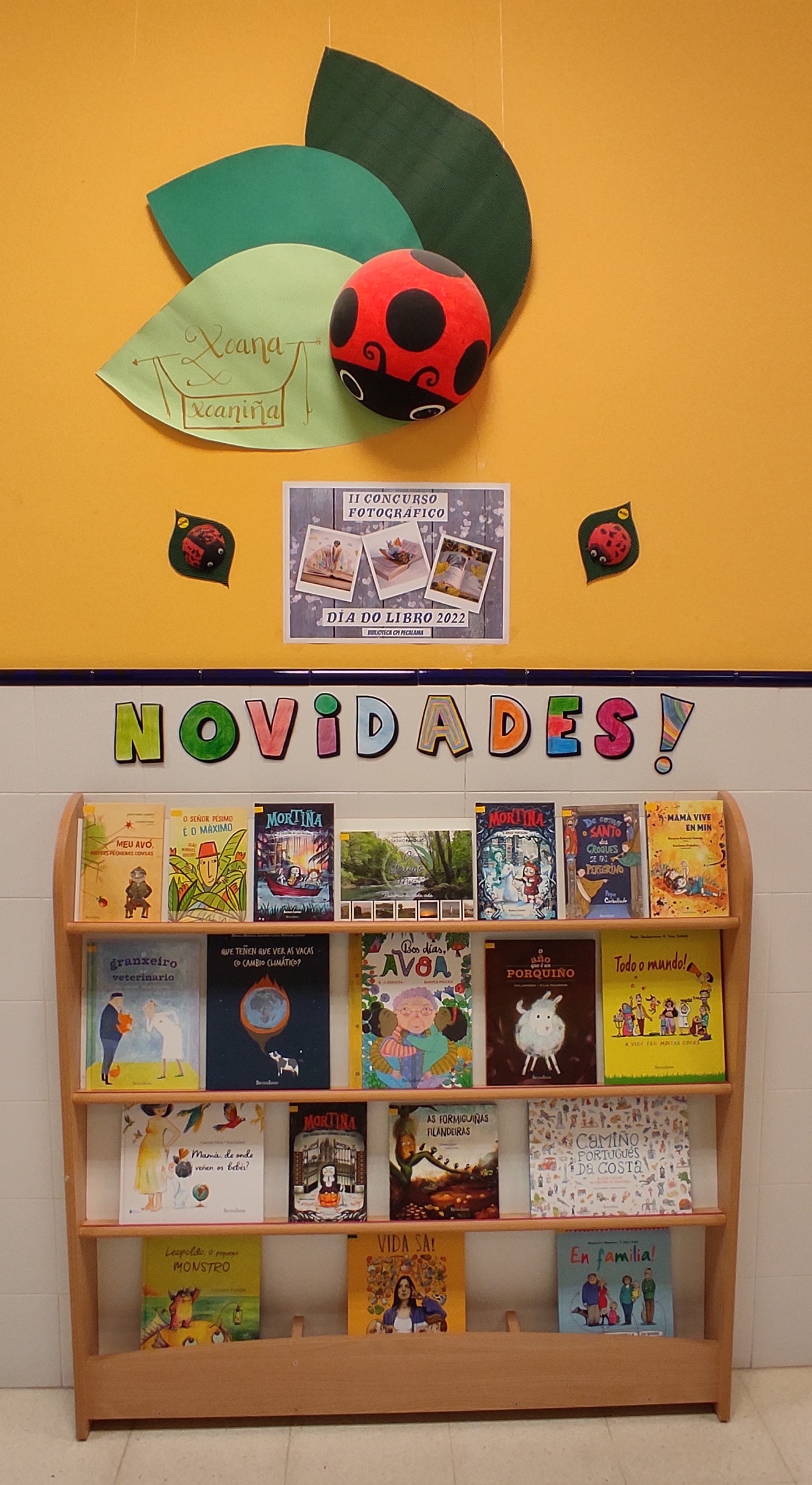 Expositor Primaria Día do Libro