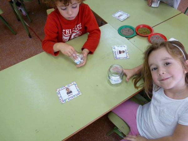 PROYECTO DE LAS PLANTAS
