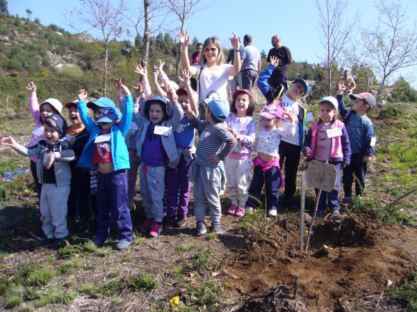 PLANTACIÓN ENTENZA
