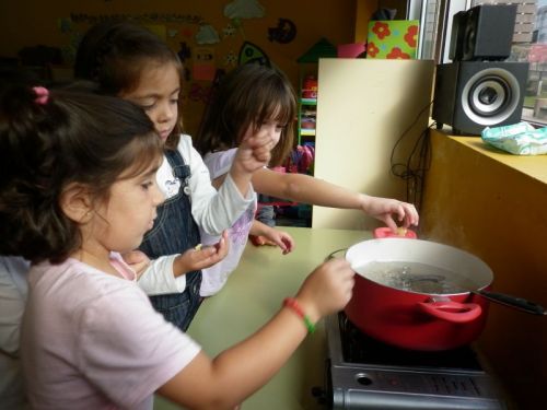 Proxecto ALIMENTOS
