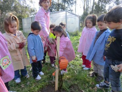 Leiro_Plantando_Figueira_(20).JPG