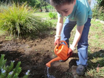 Rib_4-5_plantando_coleos_e_sementes_de_cabaza_e_primavera_(40).JPG