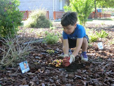 Rib_4-5_plantando_coleos_e_sementes_de_cabaza_e_primavera_(8).JPG