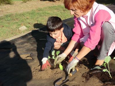 Ribadumia_3_anos_plantando___(15).JPG