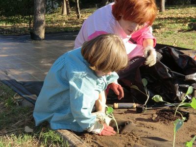 Ribadumia_3_anos_plantando___(61).JPG