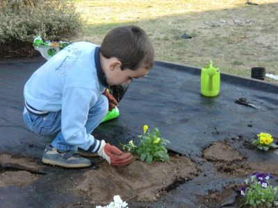 Ribadumia_4-5_plantando_Viola_(22).JPG