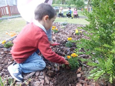 Sisán_plantando_taxete_(14).JPG