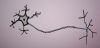 neurona3.jpg