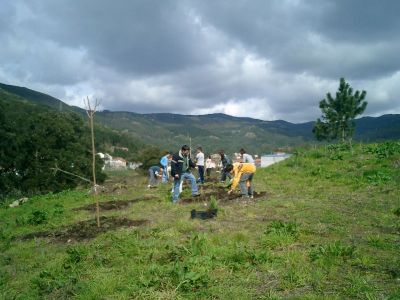 Plantación 2009
