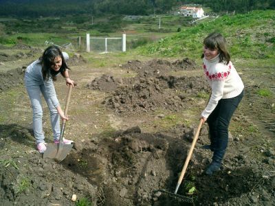 Plantación 2009
