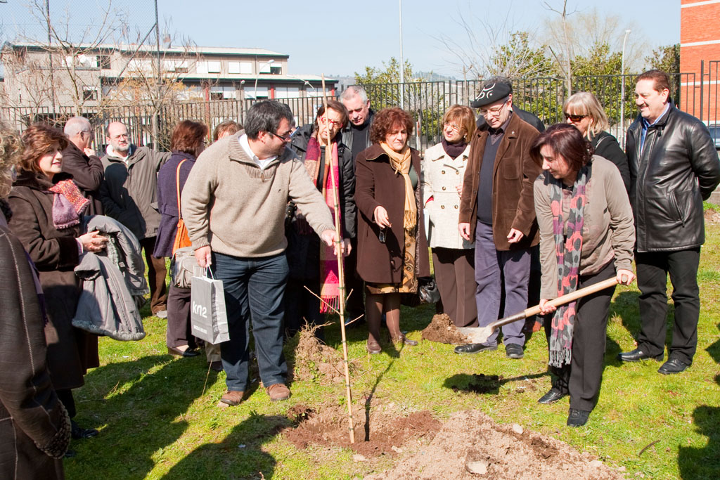 2009_02_Arboles_Jubilaciones_10.jpg