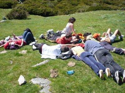 O merecido descanso despois da comida. Todo moi bucólico-pastoril.
