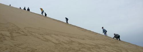 Montée des élèves sur la Dune du Pilat