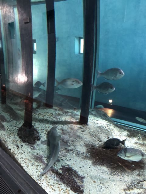 Acuario 
