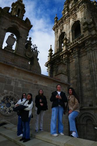 tellados catedral