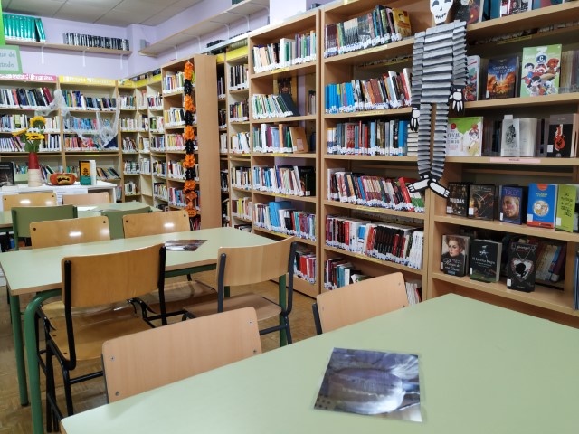 Decoración da biblioteca
