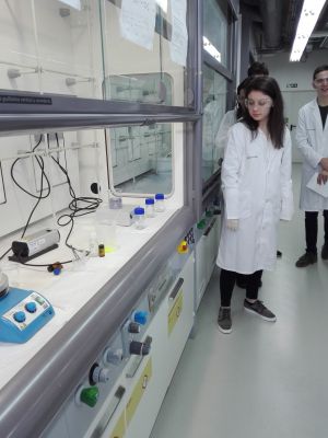 CIQUS, Biotecnoloxía e CIBUS
Visita ao CIQUS, BIOTECNOLOXÍA e CIBUS. Universidade de Santiago de Compostela.
19/06/2019
