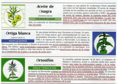 Aceite de Onaga, Ortiga Blanca y Ortosifón.Beneficios para la salud.Arkochim.2.004
