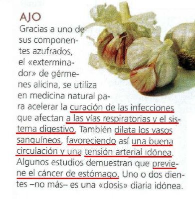 Ajos. Favorecen la circulación y la tensión arterial.Previene el cáncer de estómago y acelera la curación de infecciones en el estómago y vías respiratorias.2.009
