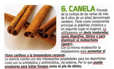 Canela.Se utiliza como disgestivo, tónico, para disminjuir los gases, aumentar el ritmo cardiaco y la temperatura corporal.Puede emplearse para tratar los hongos de los pies.Mari Luz Arredondo.2.010
