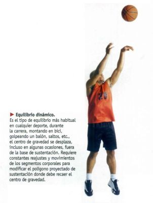 Equilibrio.Clases y su necesidad en el deporte.Sport Life 2.009
