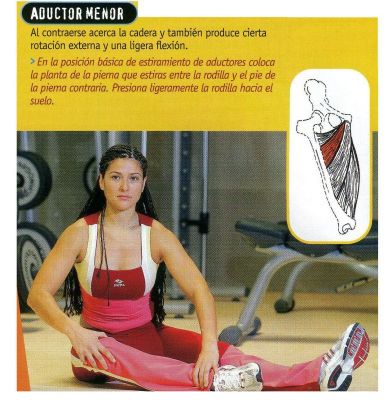 Piernas.Aductores.Aductor menor.Flexibilidad.2.005
