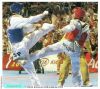 2_005_Itxisoa_Taekwondo_Bronce_en_el_Mundial_Madrid.jpg