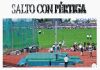 Atletismo_Salto_con_pértiga_1_Portadas_Muñoz_2º_B_2_007.jpg