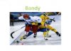 Bandy_1_portadas_Padre_del_hockey_Elena_3º_B_2_010.jpg