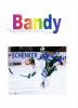 Bandy_Cristina_3º_C_2_010.jpg