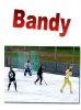 Bandy_Daniel_Vázquez_1º_A_2_012.jpg