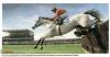 Carrera_de_obstáculos_Inglaterra_Grand_National_2_005_.jpg