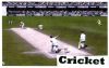Cricket_Flavia_3º_E_2_011_(3).jpg