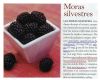 Moras_silvestres_Vitamina_C,calcio,hierro,anemia_2_005.jpg