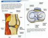 Rodilla_Plan_de_entrenamiento_2_011_(3).jpg