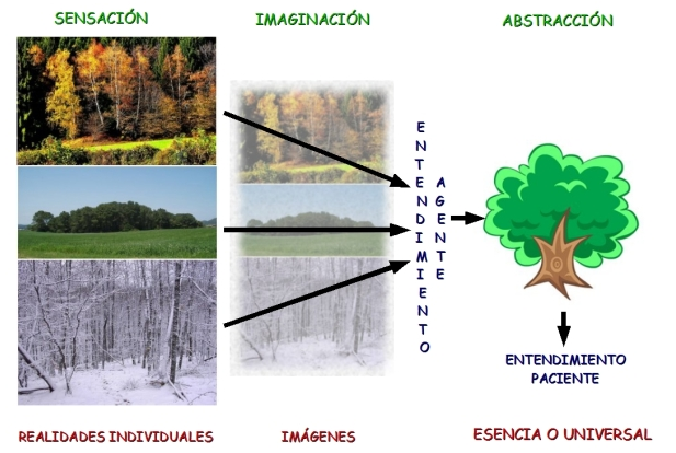 Proceso de Abstracción