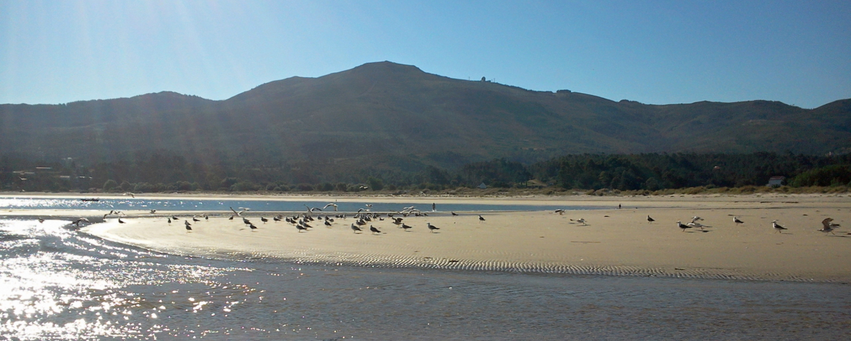 Palabras chave: playa, carnota