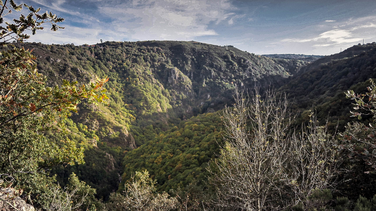 Palabras chave: mao, cañon, ribeira sacra