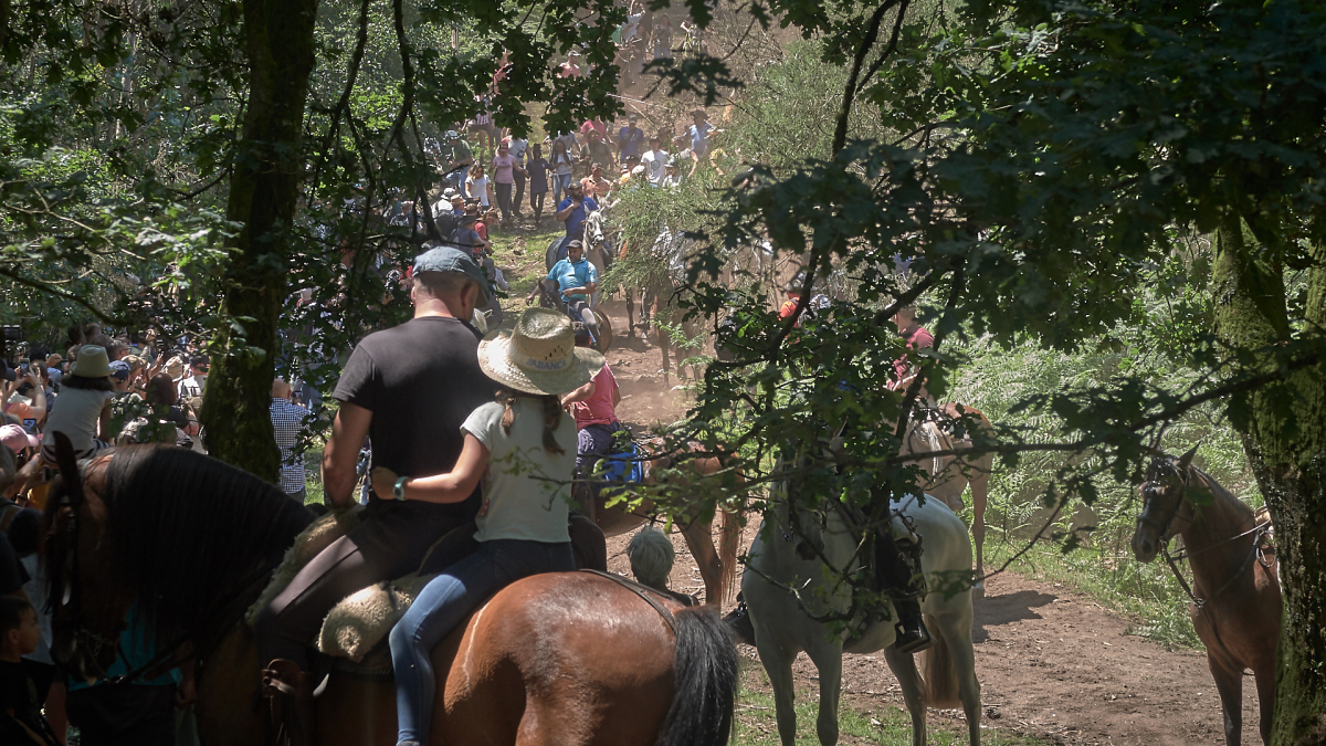 Palabras chave: rapa, sabucedo, a estrada